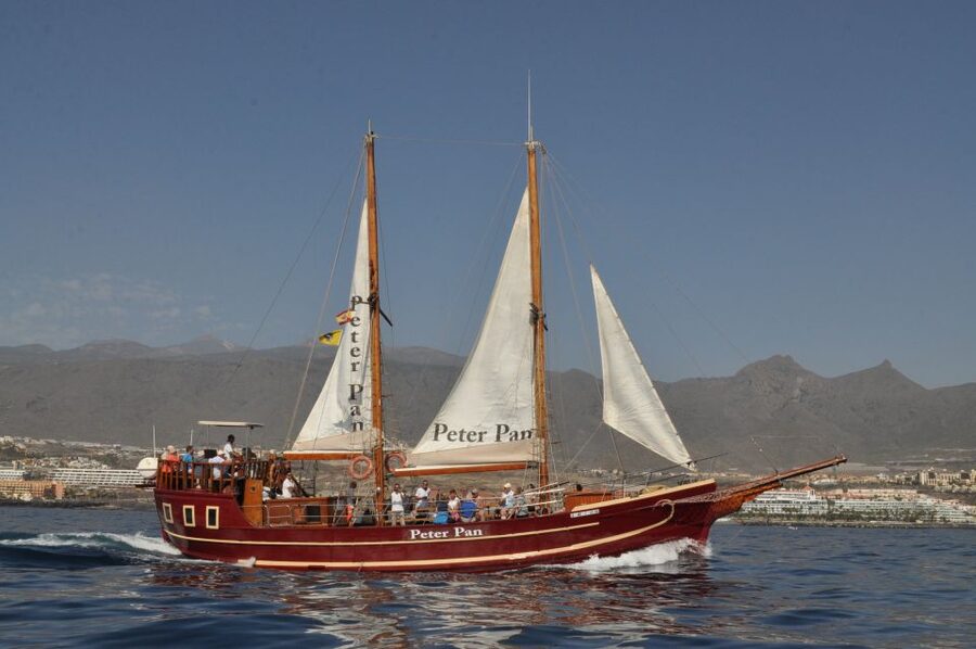 Tenerife: Whale & Dolphin Watching Cruise with Swim Stop - How much value do you get for $29?