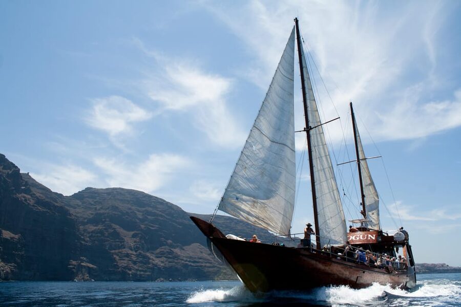 Tenerife: Whale & Dolphin Watching Cruise with Swim Stop - Should you book Peter Pan?