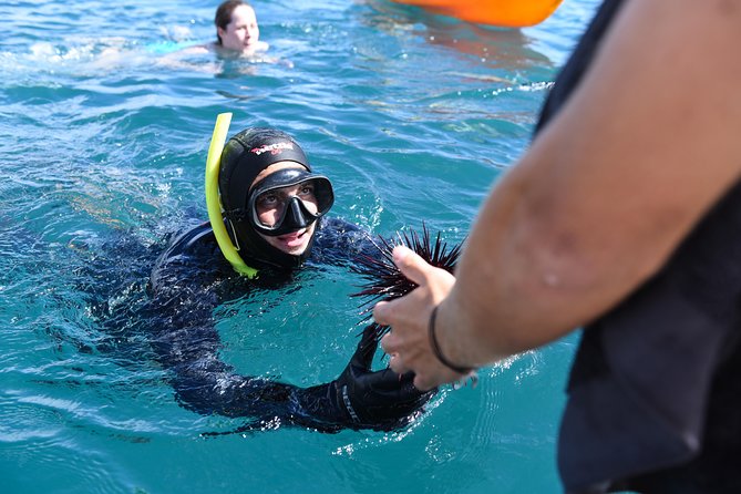 The Rock Adventure Overnight Cruise - The daytime activities: choose your own pace