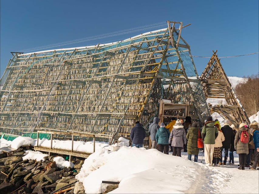 Tromsø: Arctic Fjord Cruise With Stop On Land At Fish Racks - Key points to know before you book