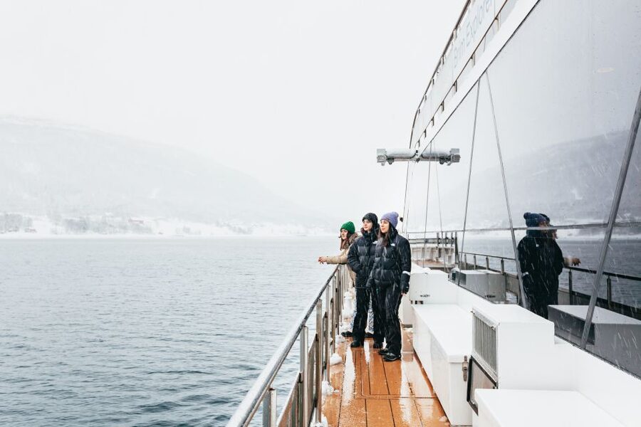 Tromsø: Arctic Fjord Cruise With Stop On Land At Fish Racks - A quiet way to meet Tromsø’s fjords