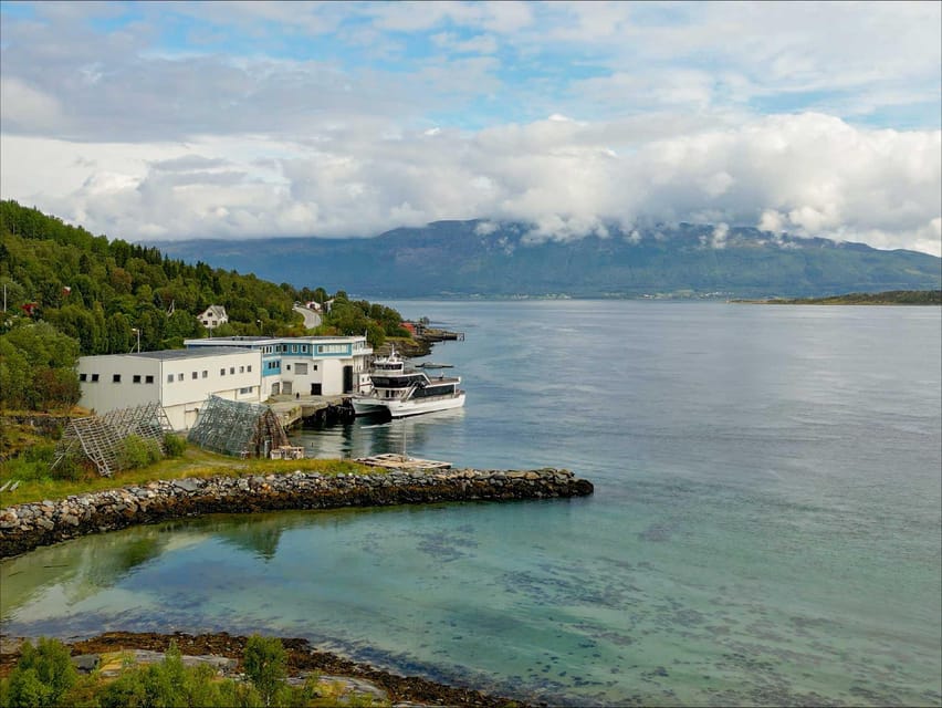 Tromsø: Arctic Fjord Cruise With Stop On Land At Fish Racks - Store Grindøya and the outer island views