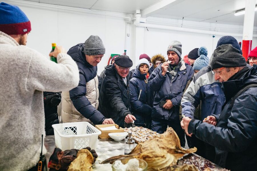 Tromsø: Arctic Fjord Cruise With Stop On Land At Fish Racks - Comfort, food, and the four-hour rhythm