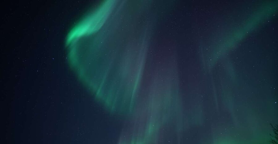 Tromsø: Evening Aurora Cruise (dinner optional) - At a glance