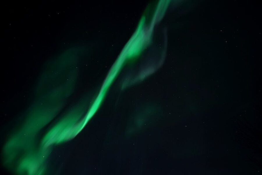 Tromsø: Evening Aurora Cruise (dinner optional) - Hot chocolate, cookies, and the long wait