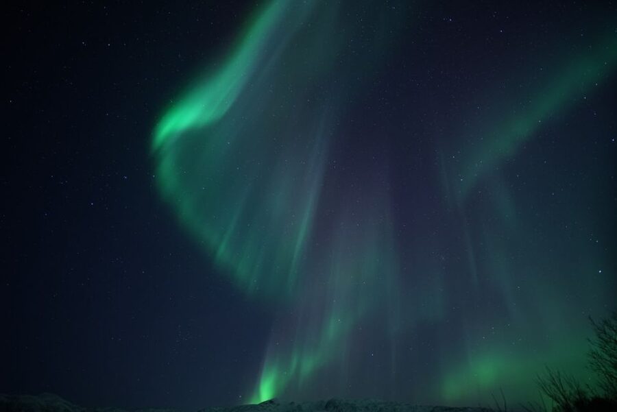 Tromsø: Evening Aurora Cruise (dinner optional) - Is $100 a fair price?