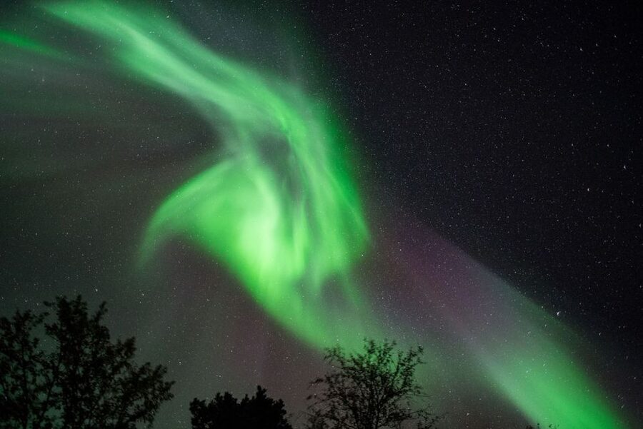 Tromsø: Evening Aurora Cruise (dinner optional) - A boat built for waiting well