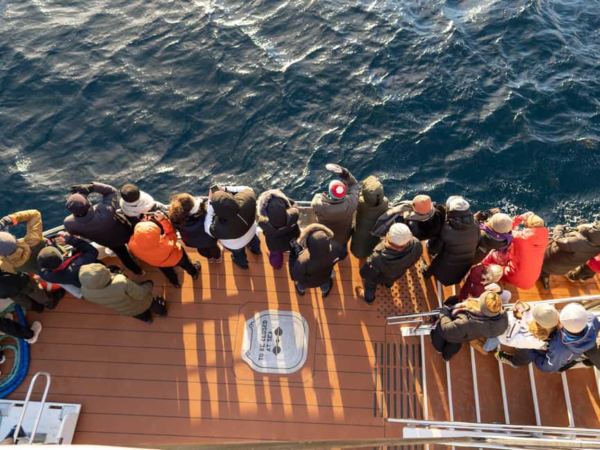 Tromsø: Whale Watching Tour by Hybrid-Electric Boat - The quiet electric approach