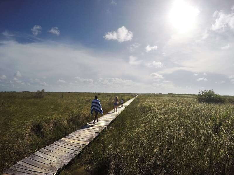 Tulum: Mayan Ruins & Sian Kaan Tour with Boat Ride and Lunch - How the full tour compares with the lazy-river option