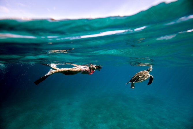 Turtle Cove Catamaran Snorkel and Sail at Little Buck Island STT - Key points at a glance