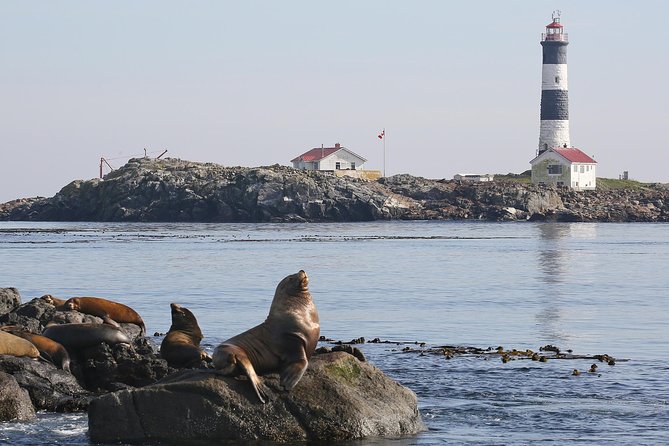 Victoria Whale and Wildlife Cruise - Booking timing and cancellation terms