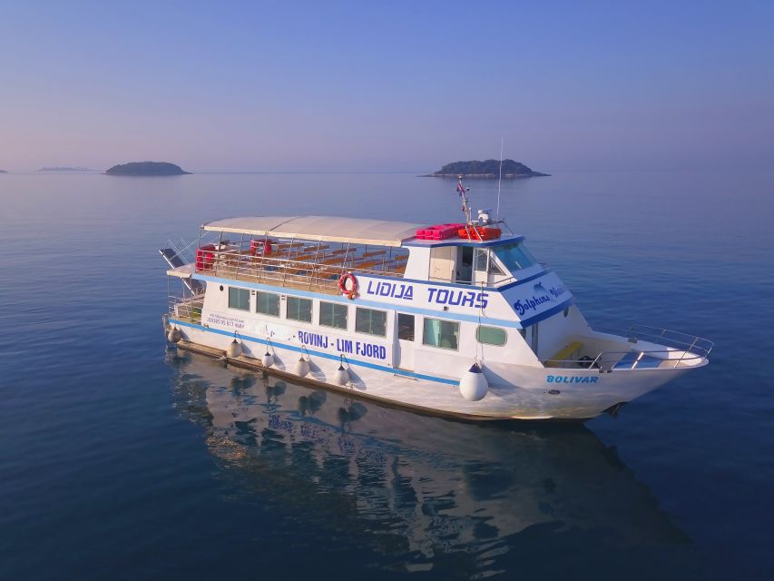 Vrsar: Dolphin Watching Boat Tour including Drinks - What the two-hour route feels like