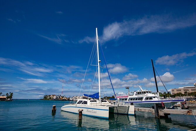 Waikiki Catamaran Snorkel Sail with Lunch: Turtles Guaranteed - What can go wrong