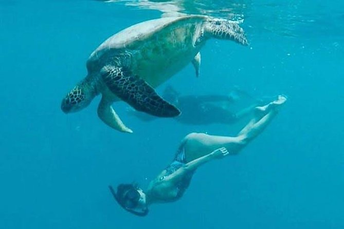 Waikiki Turtle Snorkel and Sail on Hawea Catamaran - Meeting the Hawea near the Duke Kahanamoku Statue