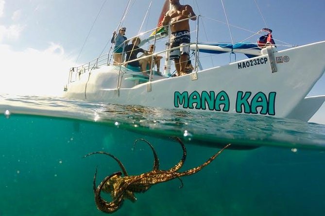 Waikiki Turtle Snorkel and Sail on Hawea Catamaran - The short ride to Turtle Canyon