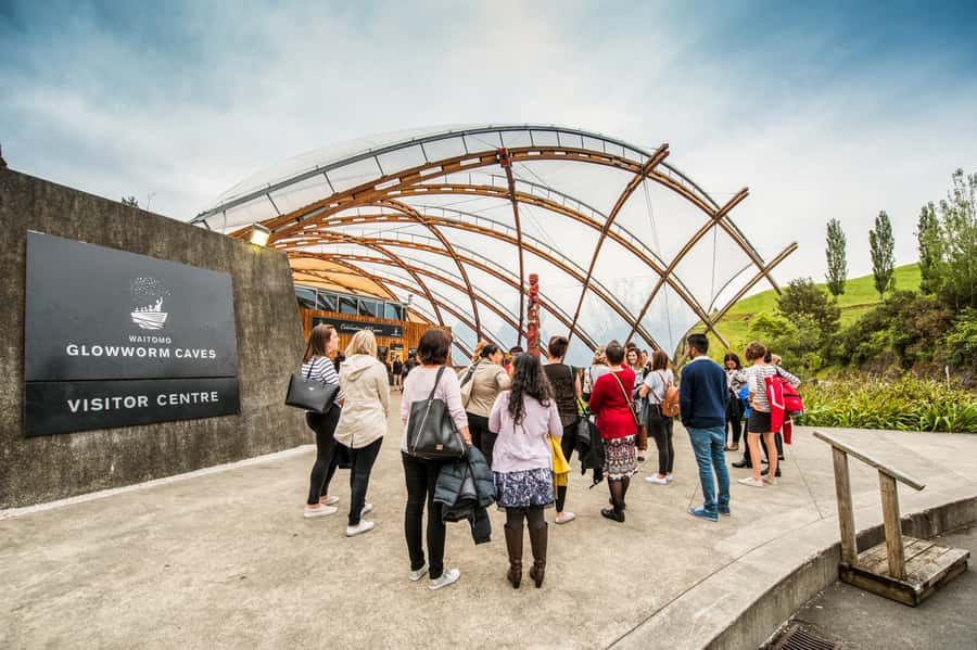 Waitomo: Glowworm Caves Guided Tour by Boat - Why Waitomo’s glowworms are worth seeing