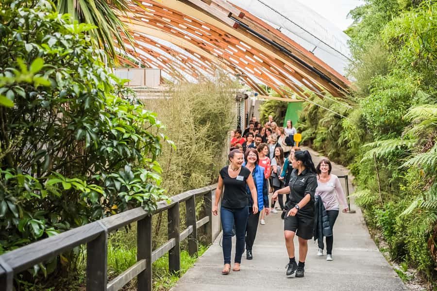 Waitomo: Glowworm Caves Guided Tour by Boat - Clothing, walking ability, and family considerations
