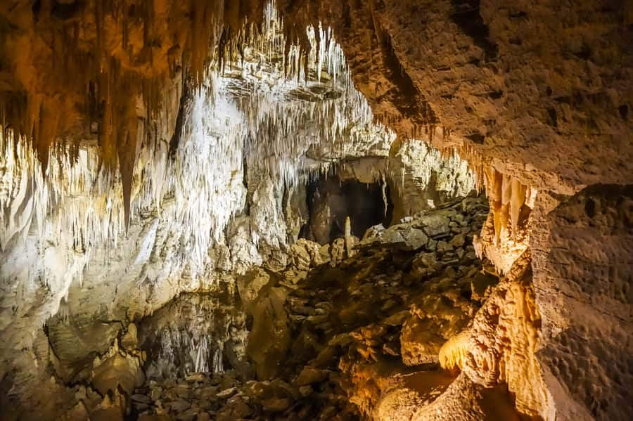 Waitomo: Glowworm Caves Guided Tour by Boat - The guide makes or breaks the first 45 minutes