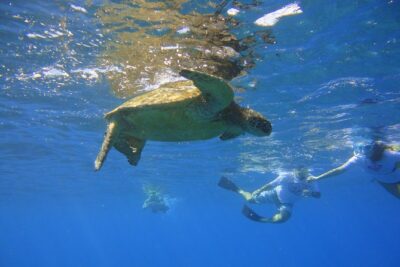 West Maui Snorkeling Experience by Boat from Ka’anapali