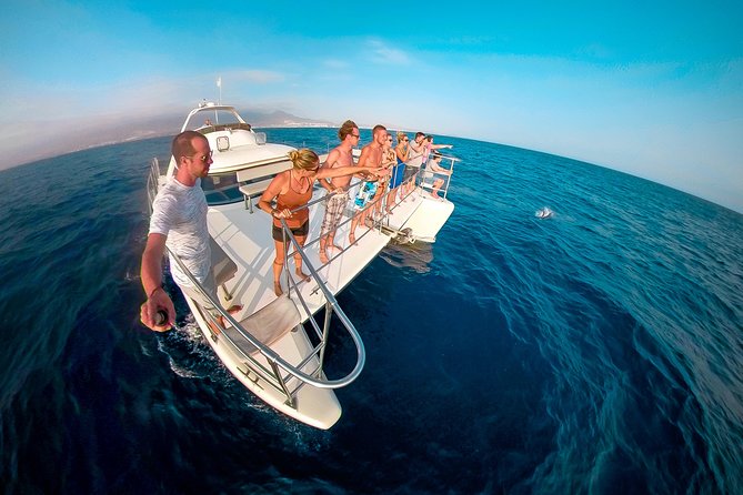 Whale and Dolphin Watching Catamaran with Transfer and Buffet - Why pilot whales make this three-hour cruise special