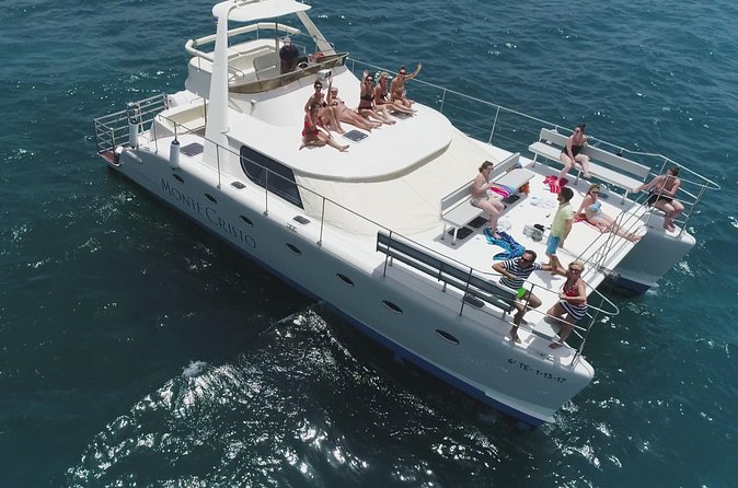 Whale and Dolphin Watching Catamaran with Transfer and Buffet - The wildlife search comes before the swim stop