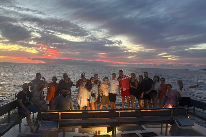 Whale and Dolphin Watching Catamaran with Transfer and Buffet - Is $71.35 a fair price?