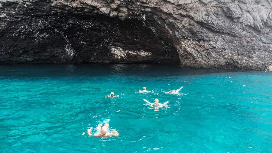 Whale and Dolphin Watching Sailing Tour – Los Gigantes (3H) - Swimming and snorkeling in a clear-water cove