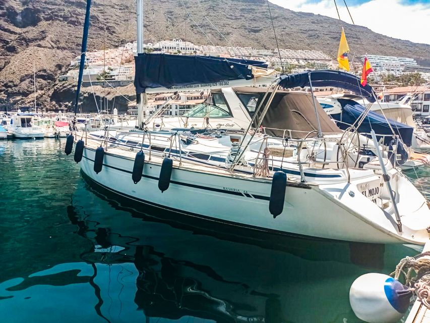 Whale and Dolphin Watching Sailing Tour – Los Gigantes (3H) - Who will enjoy this Los Gigantes cruise?