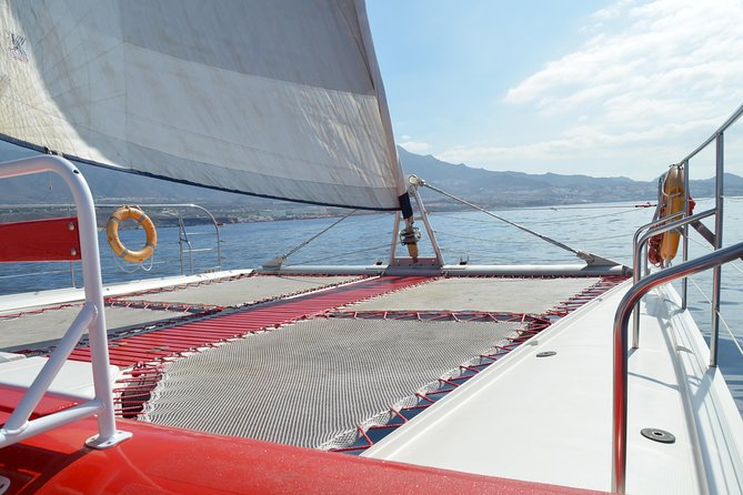 Whale watching and listening Eco-Catamaran Tour with Food Tasting - Key things to know before you book