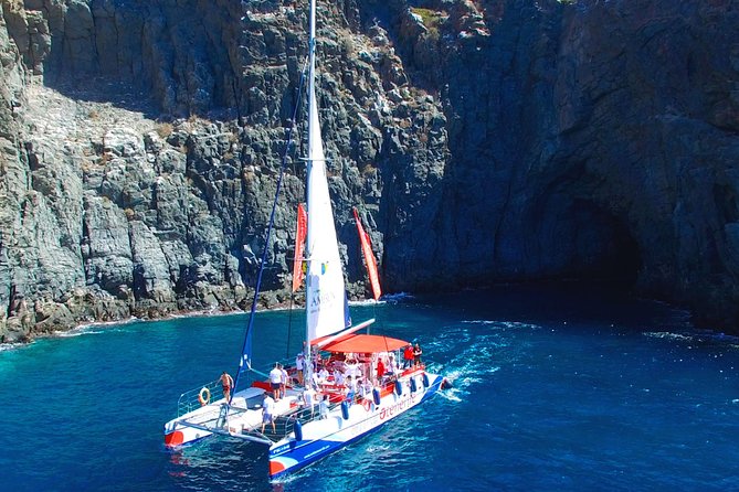Whale watching and listening Eco-Catamaran Tour with Food Tasting - Listening to pilot whales underwater