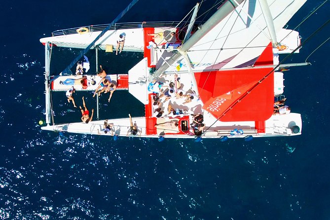 Whale watching and listening Eco-Catamaran Tour with Food Tasting - A swim stop near the coast
