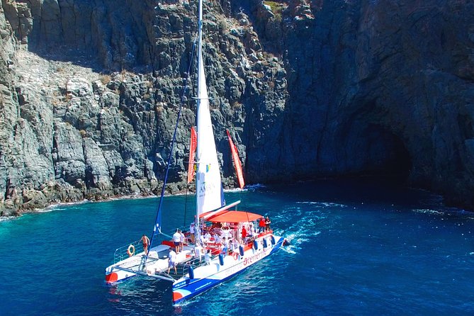 Whale watching and listening Eco-Catamaran Tour with Food Tasting - How crowded is a 64-person catamaran?
