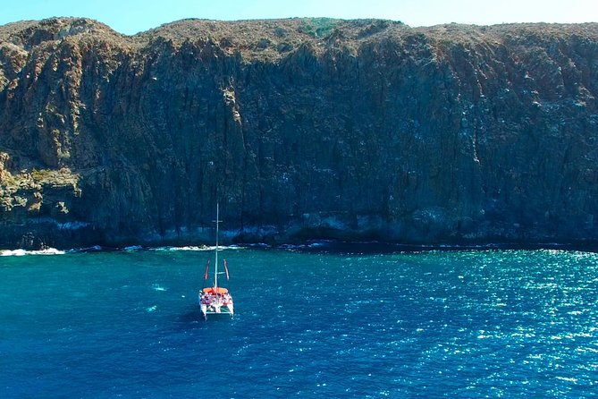 Whale watching and listening Eco-Catamaran Tour with Food Tasting - What the $48.37 fare really covers
