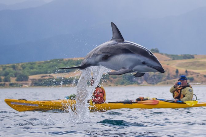 Whale Watching in Kaikoura by Boat - The ride out to the whale grounds