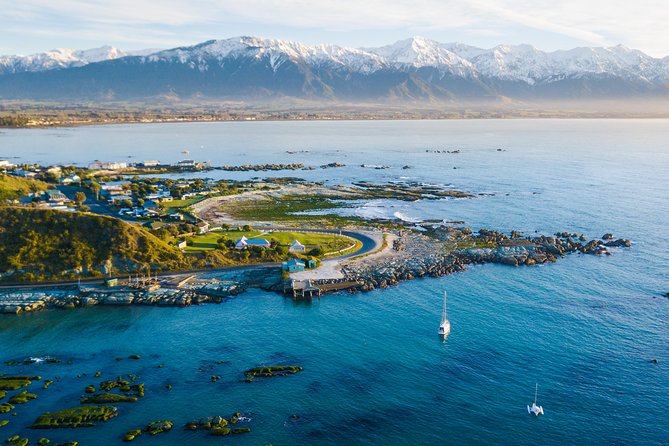 Whale Watching in Kaikoura by Boat - Is the $111.39 price fair?